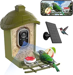 Read more about the article smart bird feeder with camera oddkont,