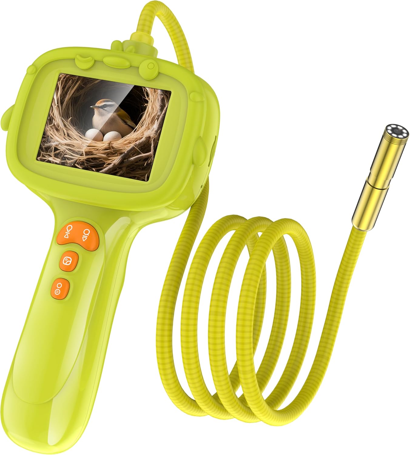 Read more about the article Kids Endoscope