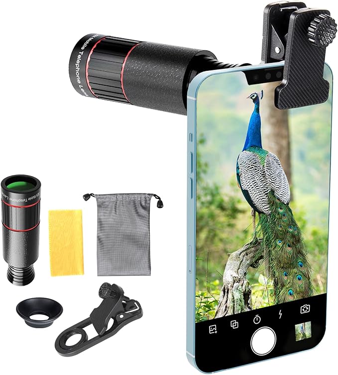 Read more about the article Phone Lens