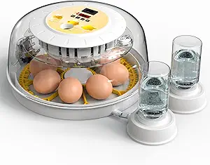Read more about the article 8 Egg Incubators for Hatching Eggs