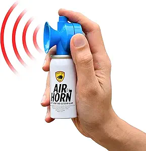 Read more about the article Air horn