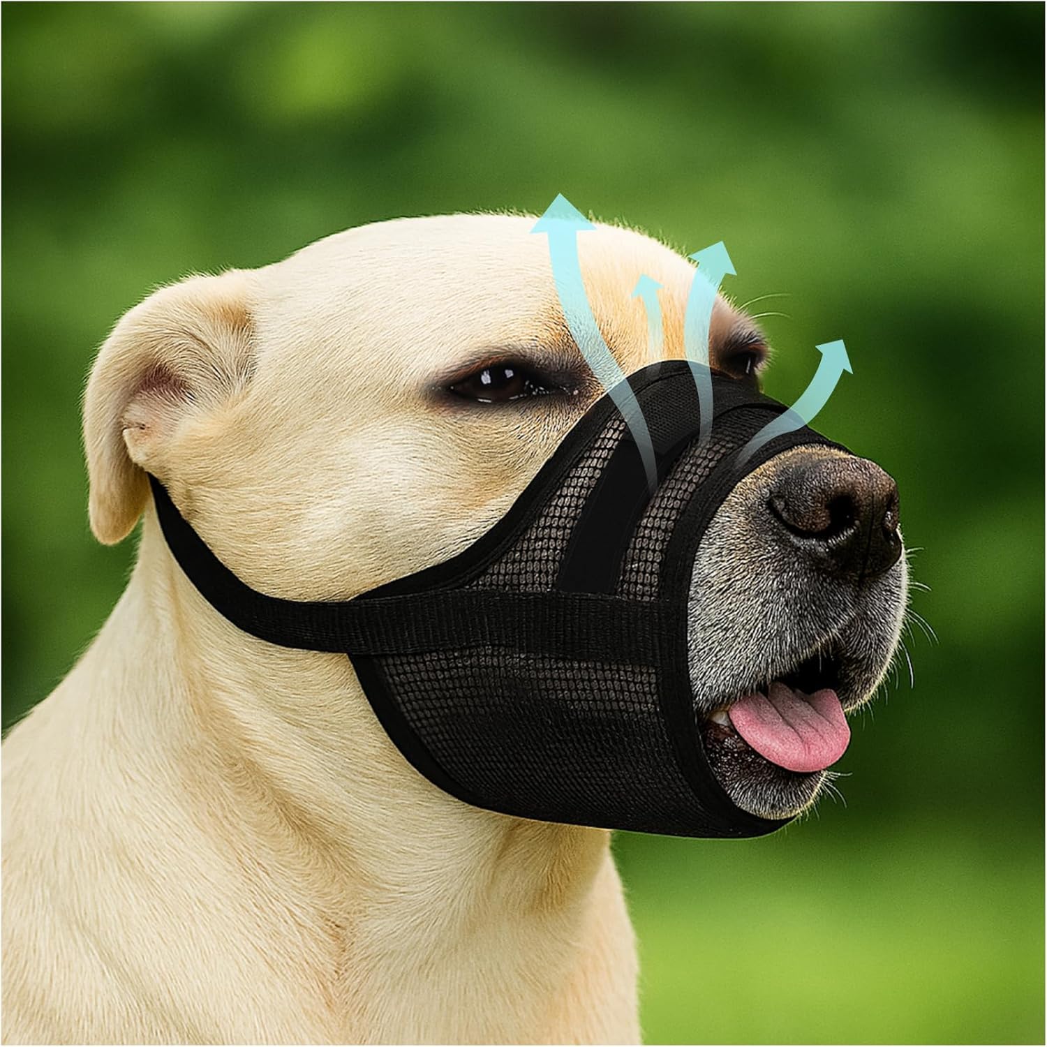 Read more about the article Dog Muzzle for Large Dogs
