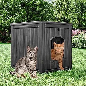 Read more about the article Outdoor Cat House