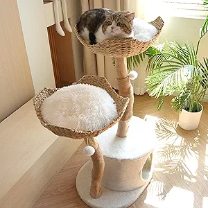 Read more about the article Natural Wooden Cat Tree Tower – Modern Cat Condo with Dangling Ball, Cozy Baskets