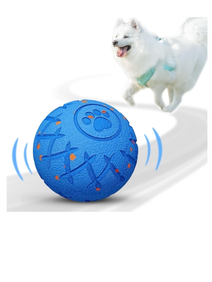 Read more about the article Dog ball