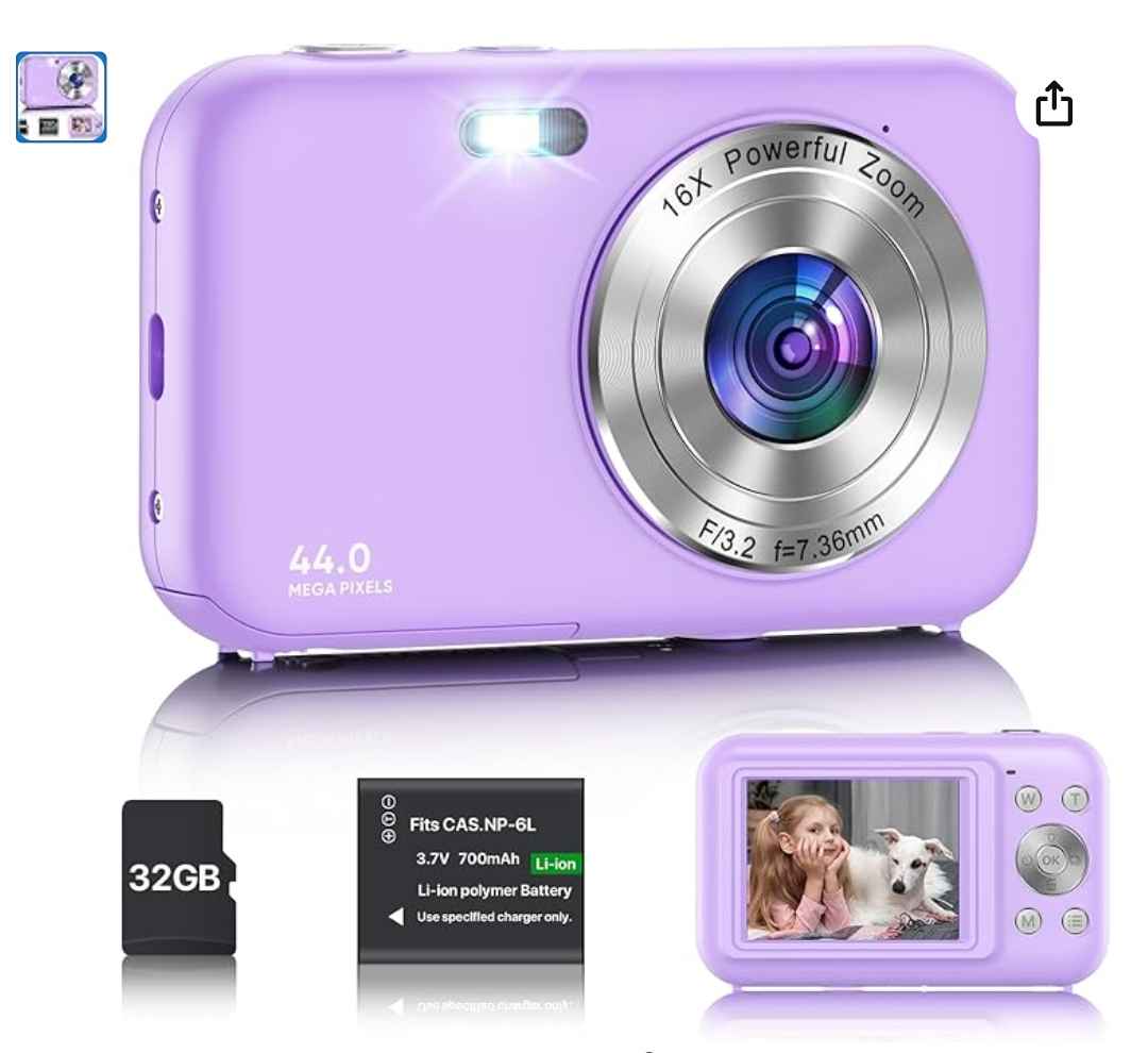 Read more about the article 