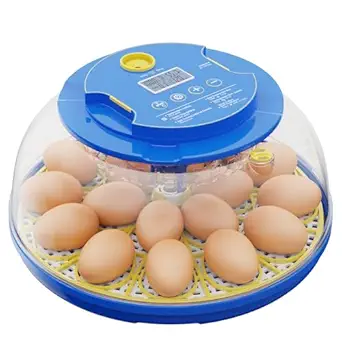 Read more about the article 18 Egg Incubator with Automatic Egg Turning – Hatching Unit with Digital Control & Built-in Candler – Incubation System with 2 Hatcher Trays for Chicken