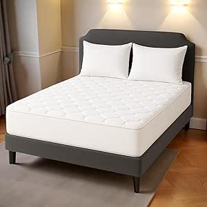 Read more about the article 4FT Matteres Protector z