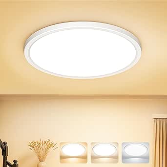 Read more about the article LED Ceiling Light z