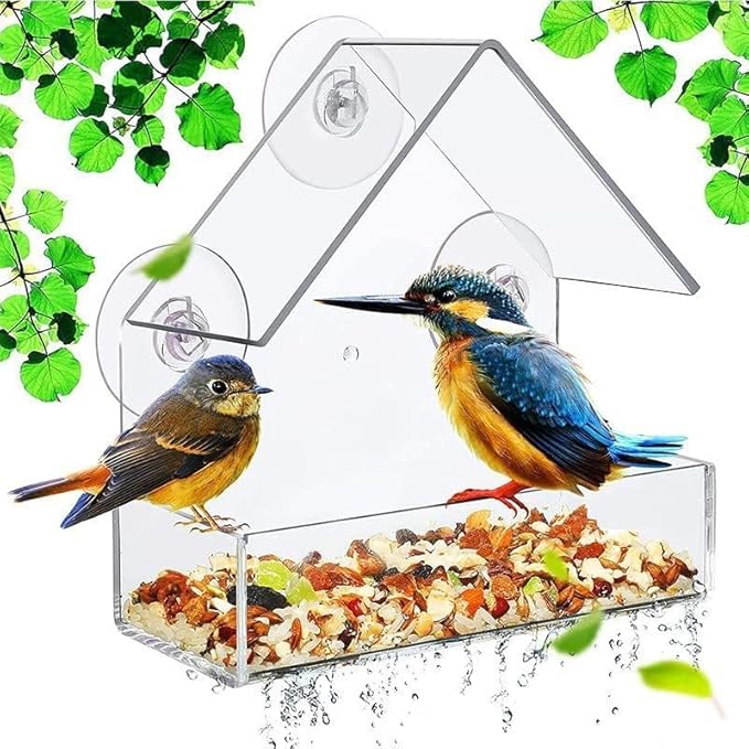 Read more about the article Window Bird Feeder – Clear Acrylic Bird House with Heavy-Duty Suction Cups, Large Seed Tray