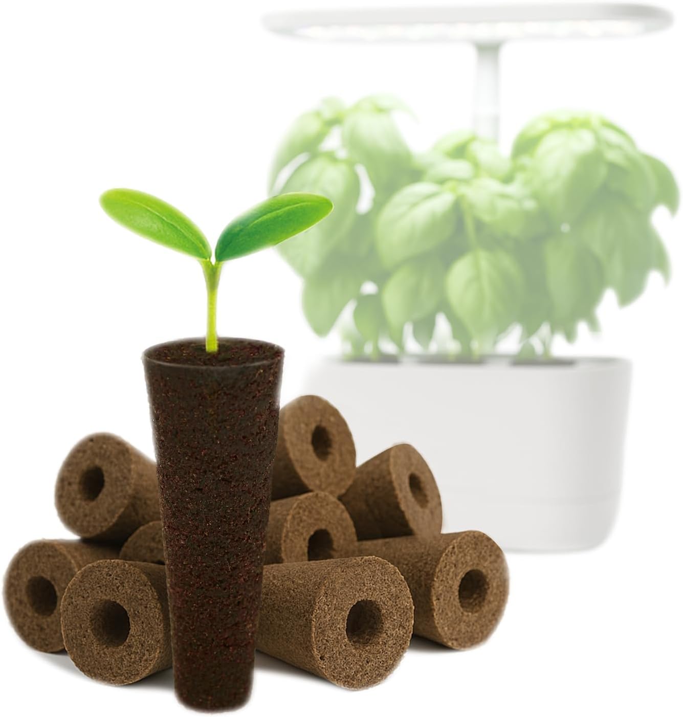 Read more about the article Hydroponic Grow