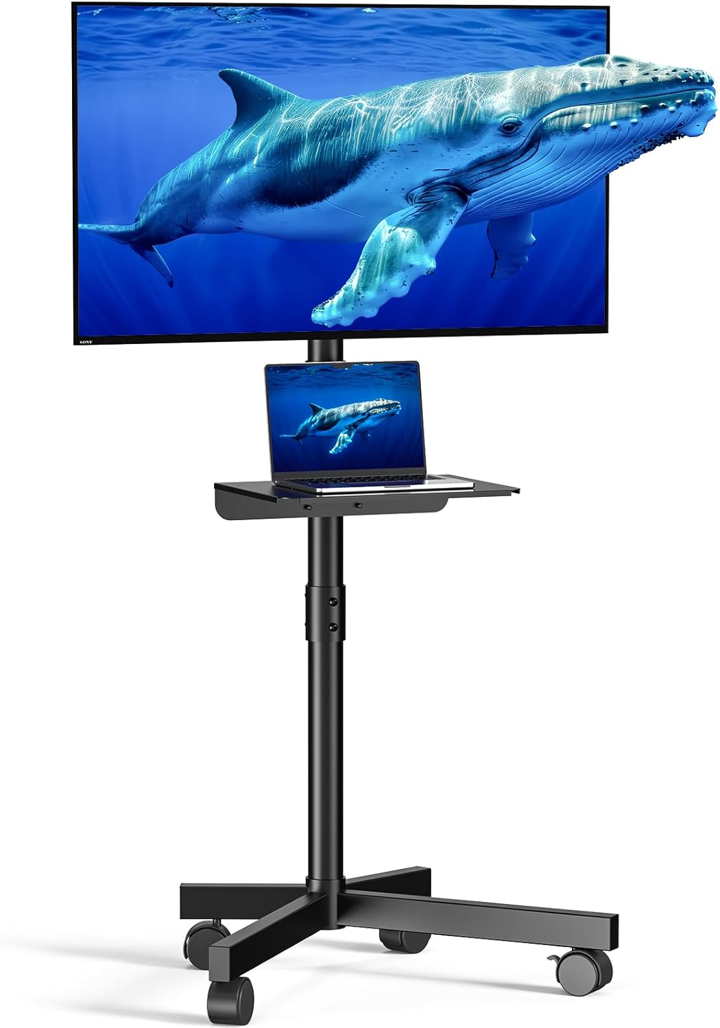 Read more about the article Mobile TV Cart