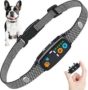 Read more about the article Anti Bark Collars for Small Dog z