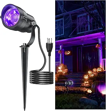 Read more about the article Outdoor blacklight