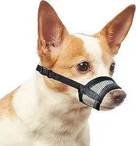 Read more about the article Dog muzzle