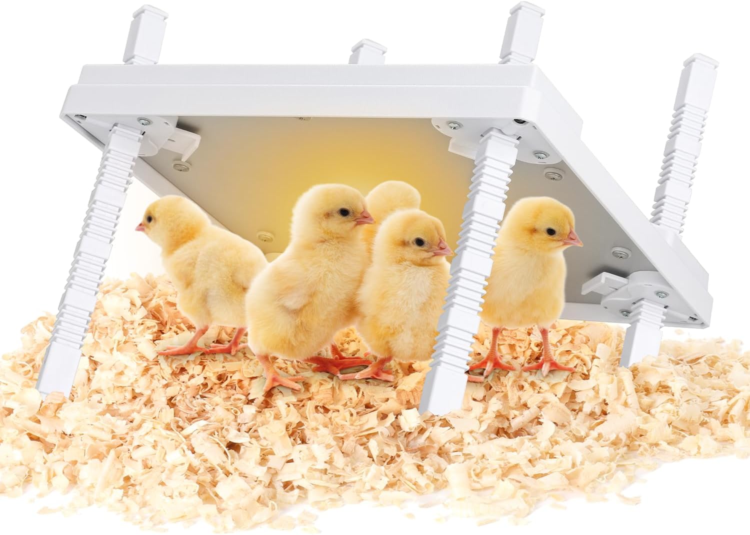 Read more about the article Chick Brooder Heating Plate