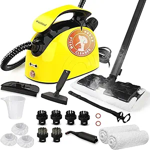 Read more about the article steam cleaning machine