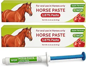 Read more about the article Horse paste