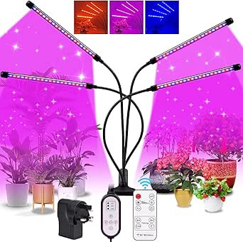 Read more about the article Lights Grow for Indoor Plants z