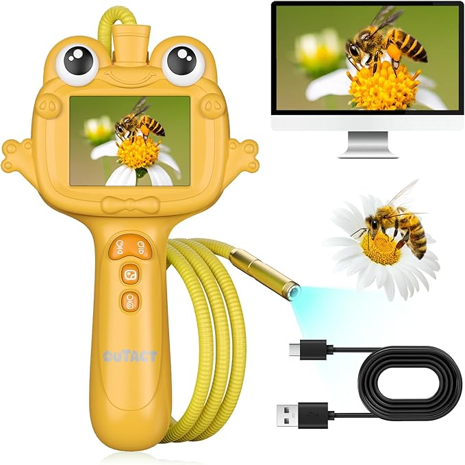 Read more about the article endoskop