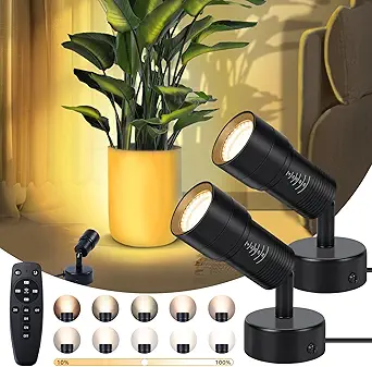 Read more about the article spot lights indoor