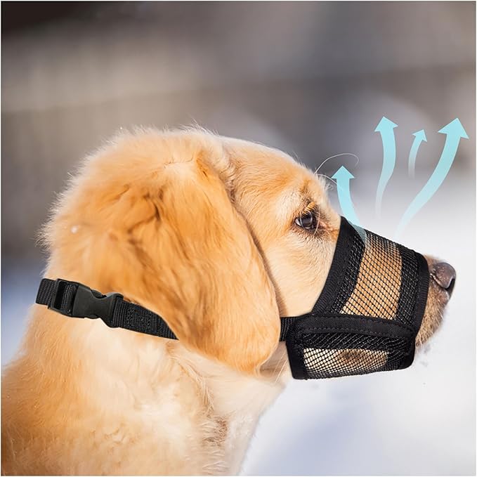Read more about the article Dog muzzle
