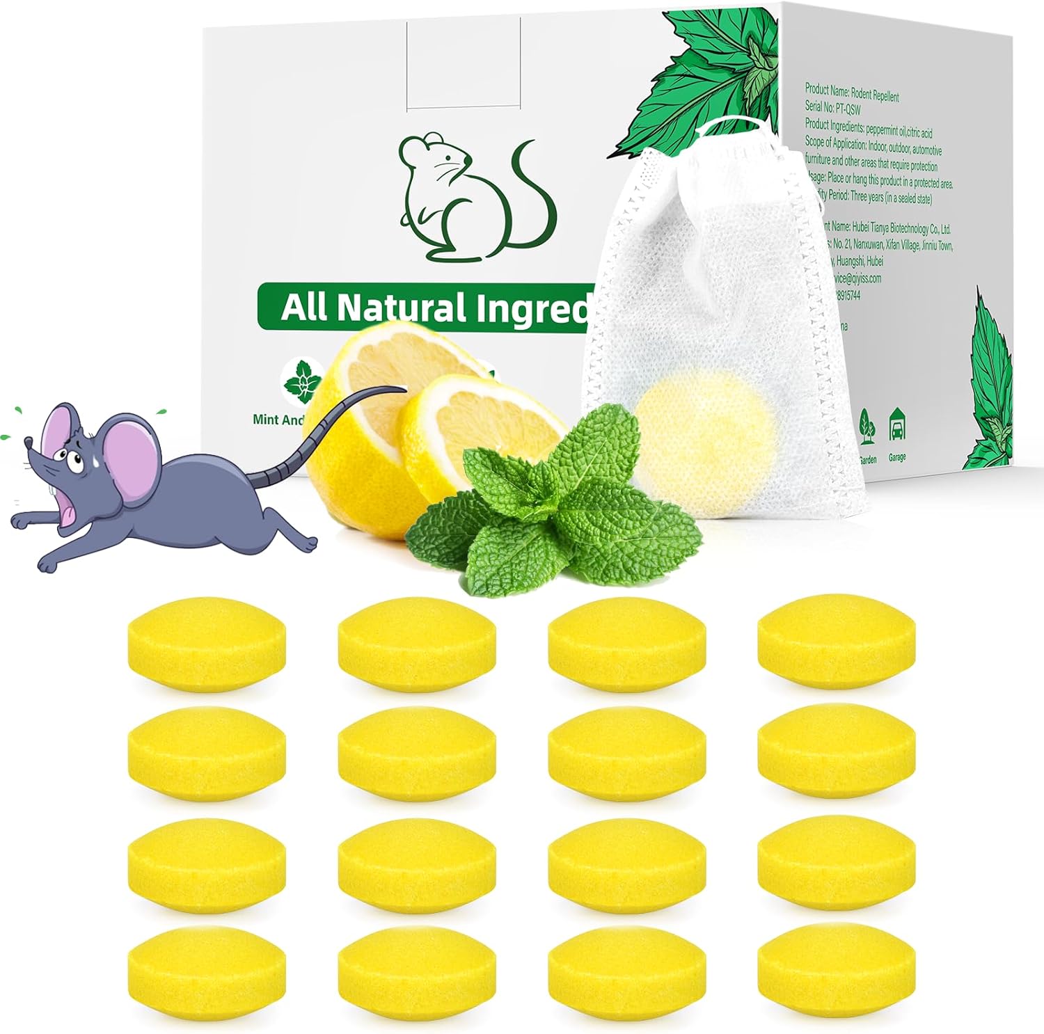 Read more about the article Mouse Rodent