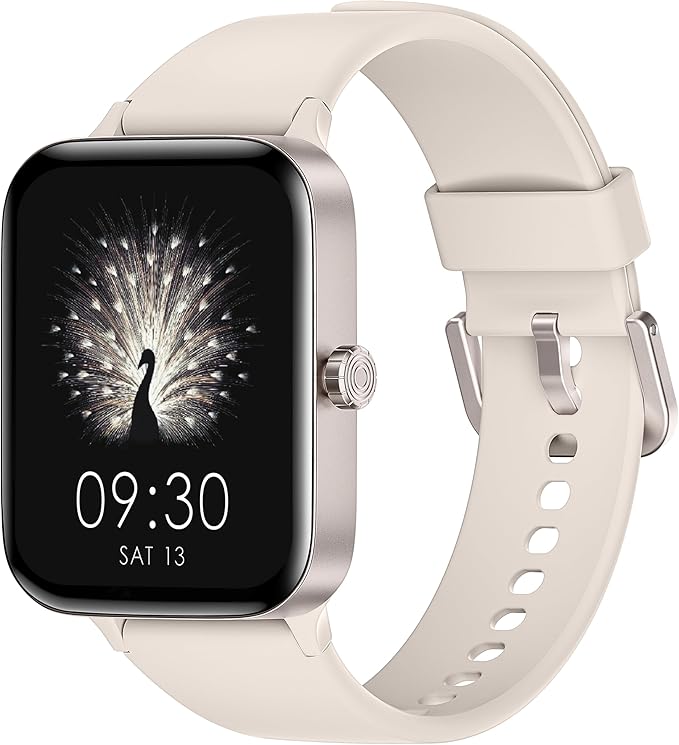 Read more about the article 