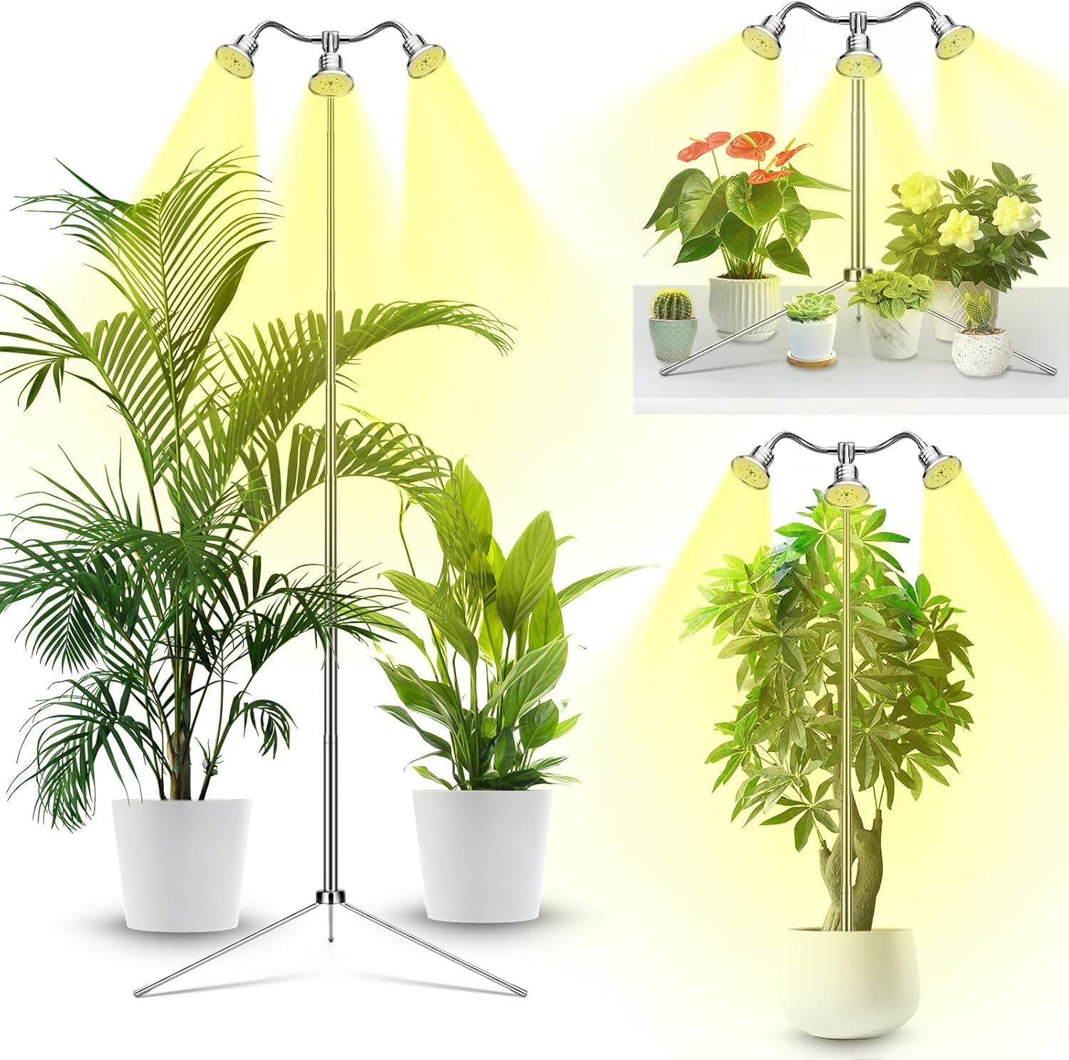 Read more about the article grow lights for indoor plants