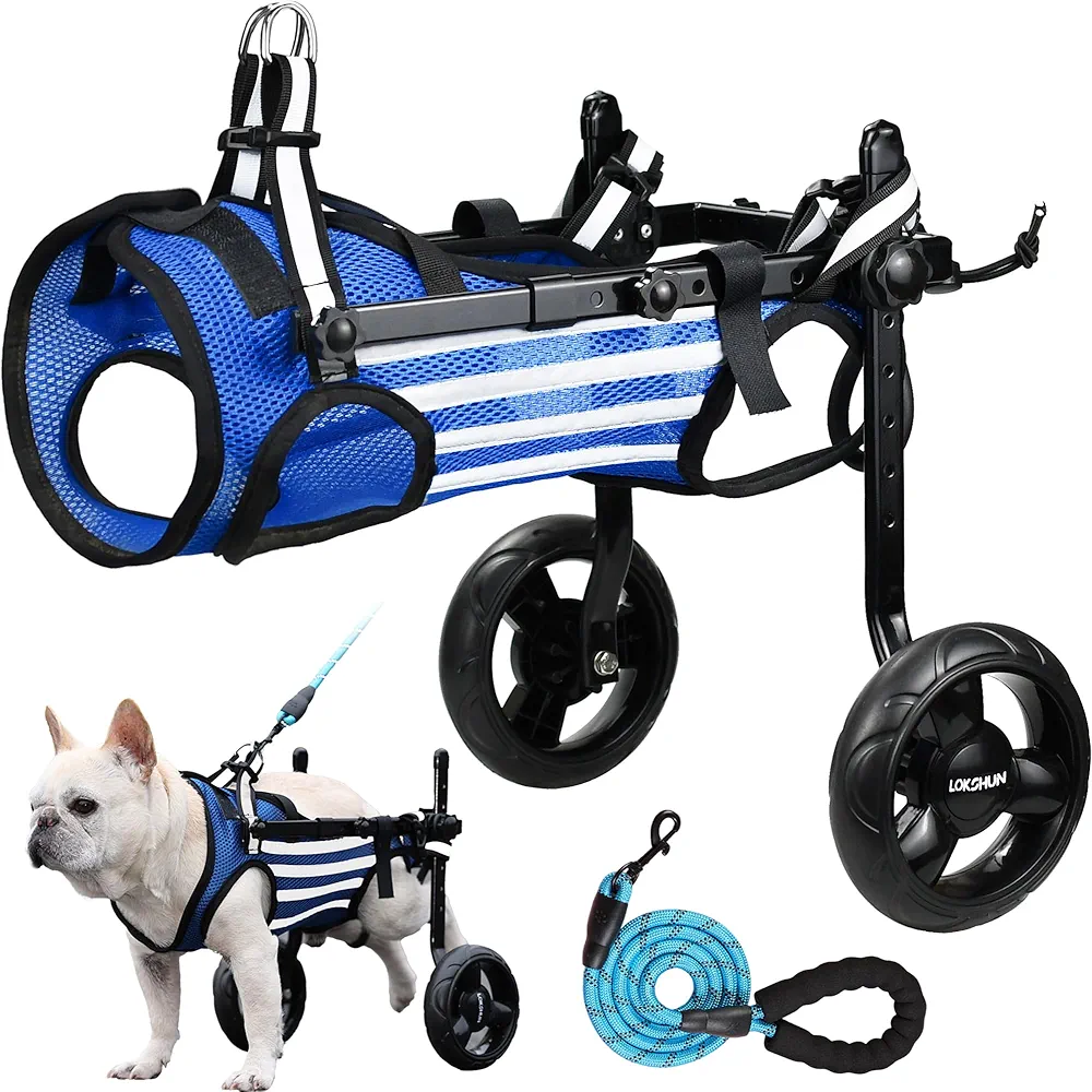 Read more about the article dog wheelchair for back legs
