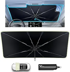 Read more about the article Windshield