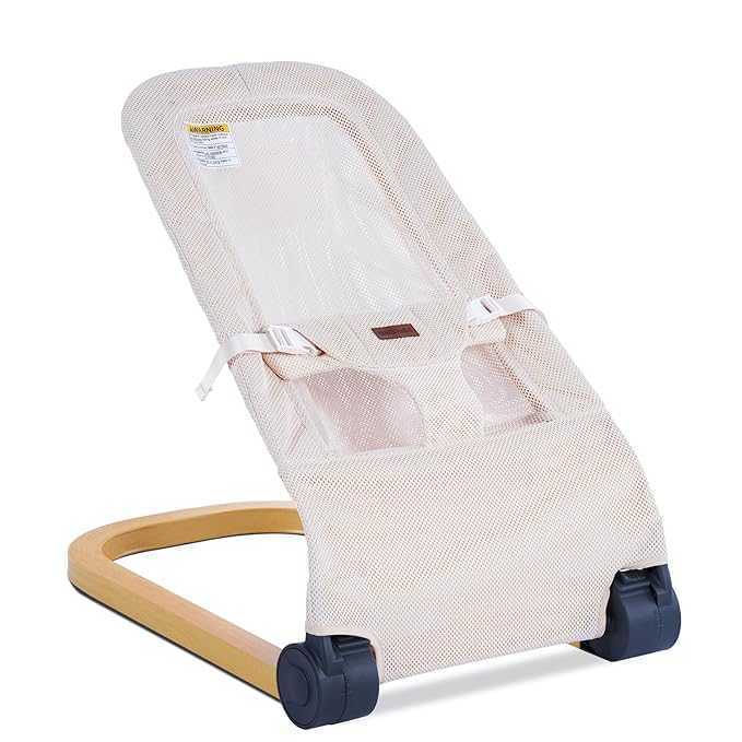 Read more about the article Baby Bouncer