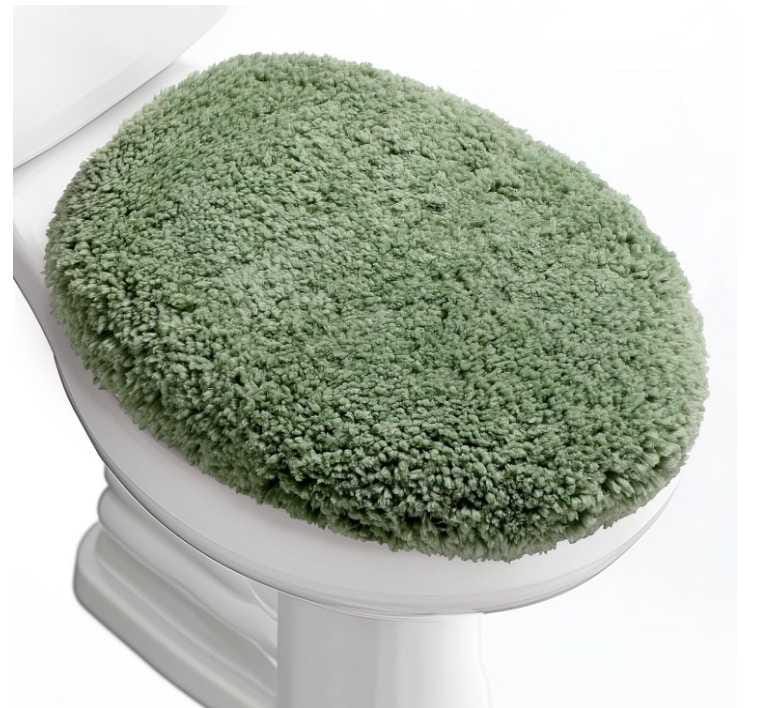 Read more about the article toilet seat cover