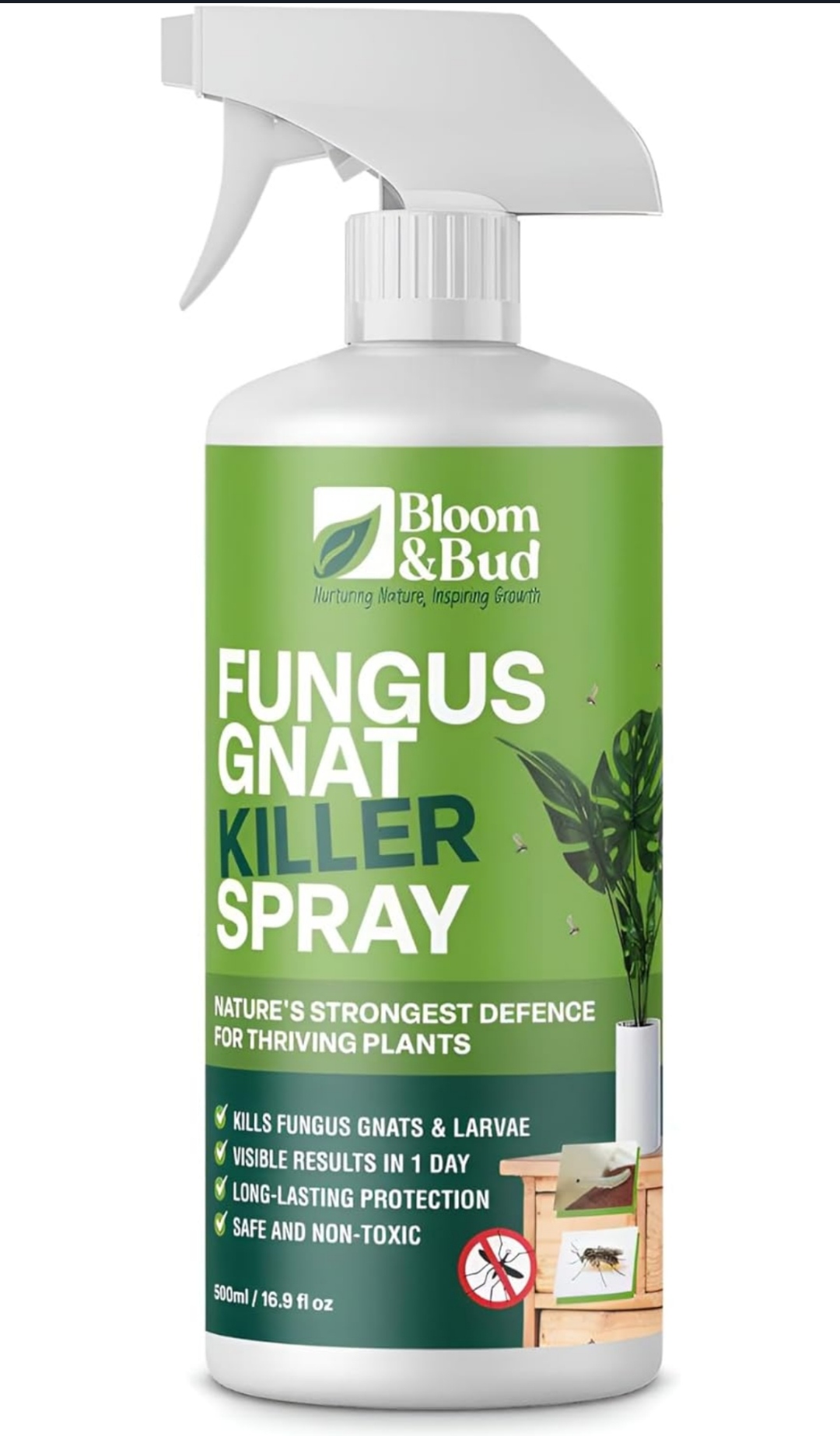 Read more about the article Fungus Gnat Killer