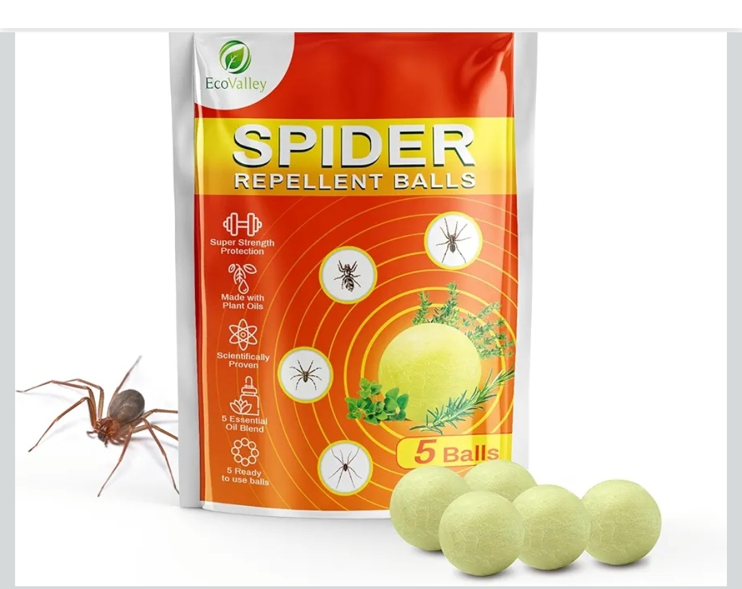 Read more about the article Spider Repellent Balls