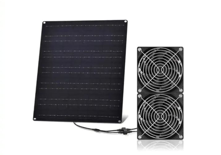 Read more about the article Fan