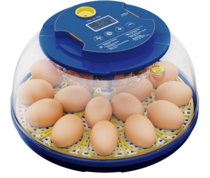 Read more about the article ..