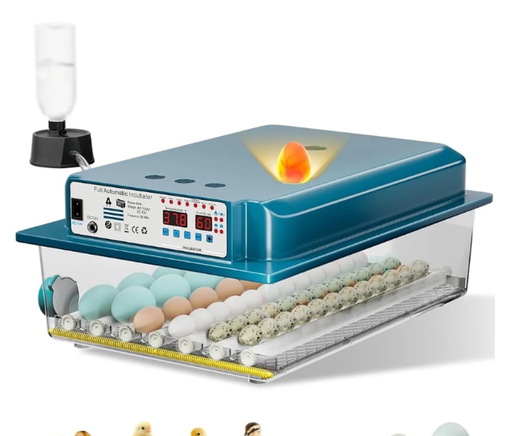 Read more about the article …..,…