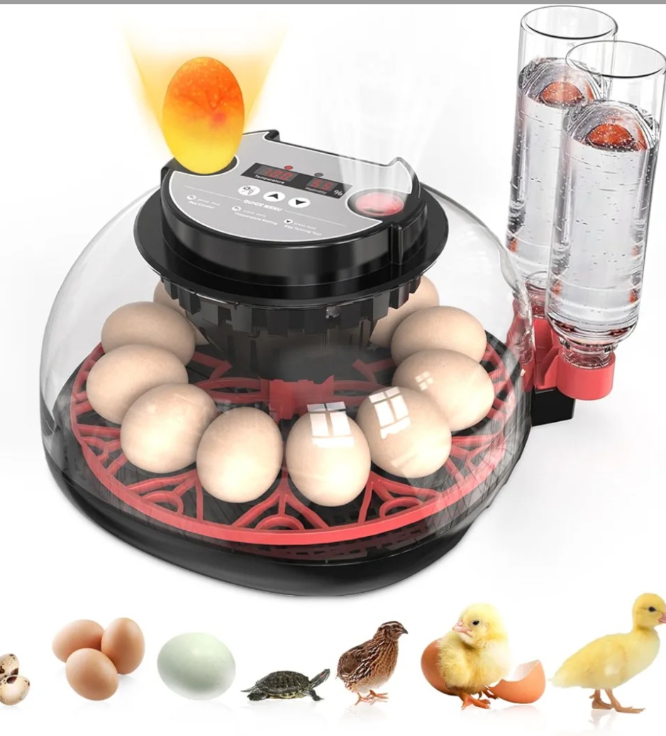 Read more about the article ……….