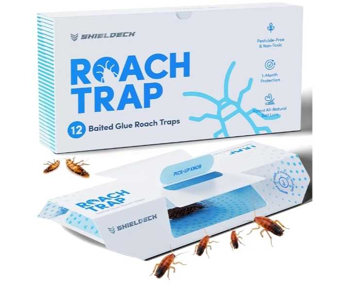 Read more about the article cockroach killer
