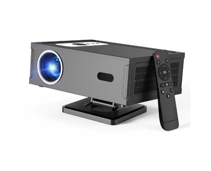 Read more about the article 