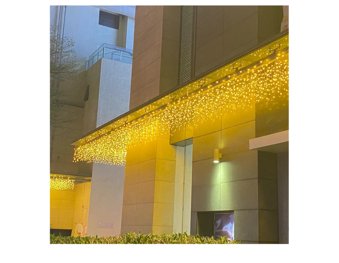 Read more about the article Christmas Lights