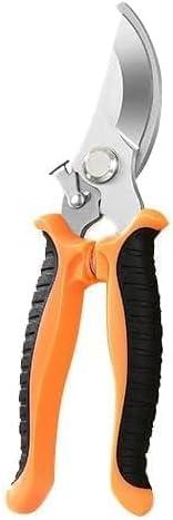 Read more about the article Craft Scissors