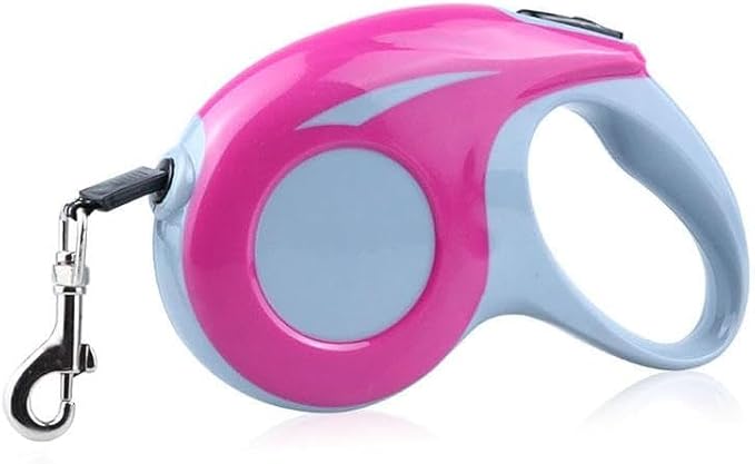 Read more about the article Retractable Dog