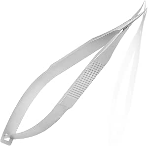 Read more about the article Curved Cuticle