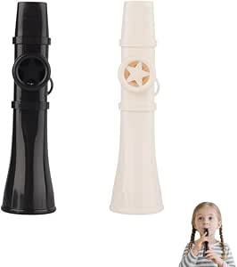 Read more about the article Musical Instrument Whistle z