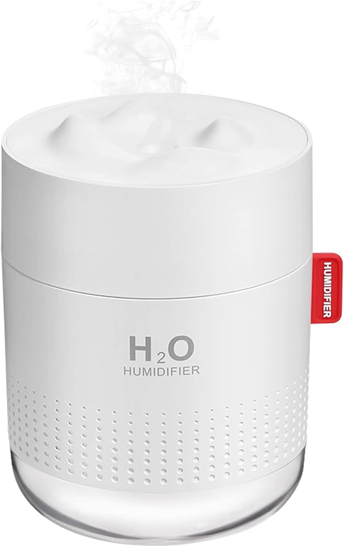 Read more about the article Humidifier