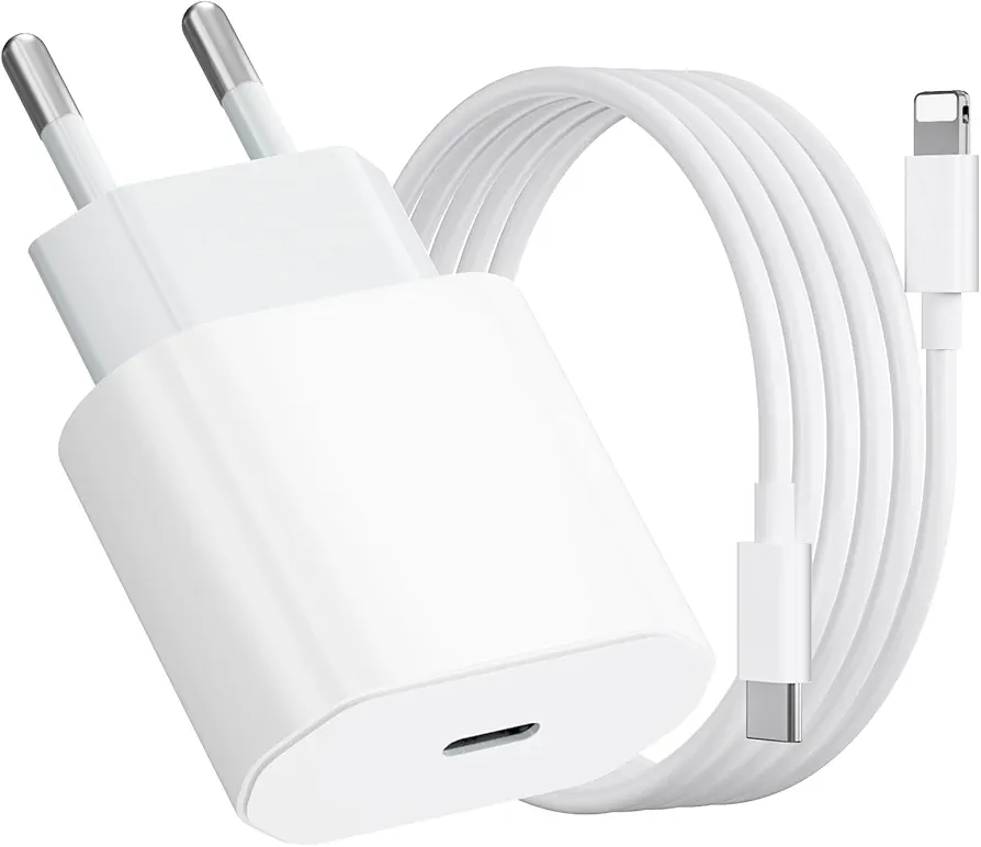 Read more about the article Iphone charger