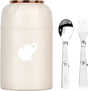 Read more about the article Food Flask