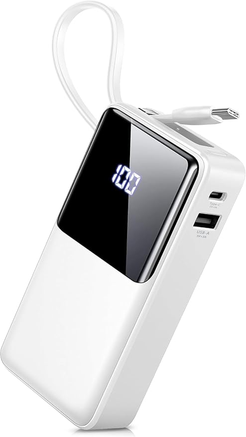 Read more about the article Power bank